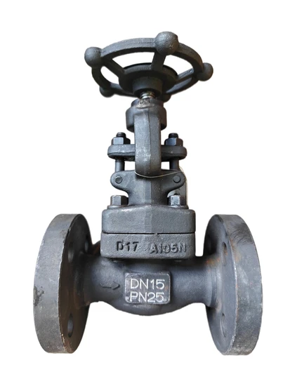 Premium Forged Steel Globe Valves for Industrial Applications